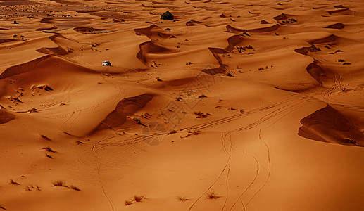 照片来自摩洛哥的撒哈拉沙漠地貌公羊笔记本旅人旅行旅行者摄影世界旅游世界旅游迷旅游生活图片