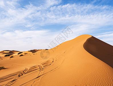 摩洛哥撒哈拉沙漠沙沙地的图案旅游世界博客公羊旅行照片笔记本世界旅游摄影旅游迷图片