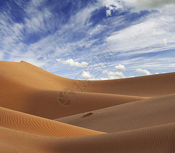 摩洛哥撒哈拉沙漠沙沙地的图案旅游生活旅行者图片摄影世界假期旅游博主旅游迷旅游世界图片