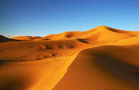 照片来自摩洛哥的撒哈拉沙漠地貌博主游记摄影旅游迷旅游生活旅游世界旅行者旅游假期笔记本图片
