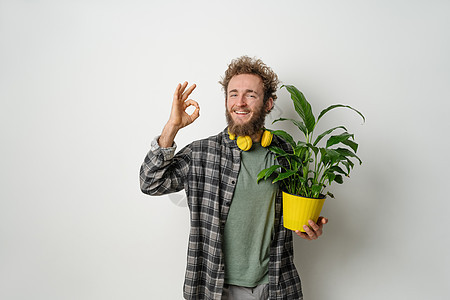 打手势 OK 拿着黄色花盆 里面种着植物年轻英俊的胡须男子穿着格子衬衫 脖子上戴着黄色耳机 与白色背景隔离 移动概念房子职业围裙图片