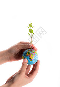 手握树木在球上幼苗环境教学世界绿色种植行星背景图片