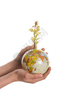 手握树木在球上教学世界环境行星绿色幼苗种植背景图片