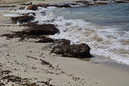 与海边巨石对立的波浪天气风暴海岸线海浪泡沫运动边缘岩石压力力量图片