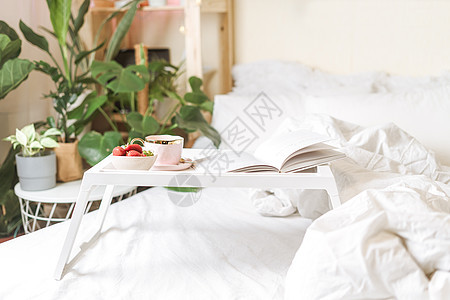 情人节早餐 加咖啡和草莓的早餐假期庆典盘子热饮作品植物放松毯子静物周年图片