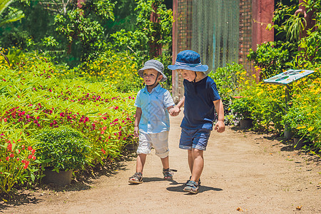 两个快乐的兄弟在热带公园的公园小路上 一起奔跑孩子朋友自由场地家庭农村男生友谊乐趣幸福图片