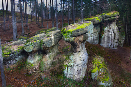 波兰的侵蚀迷宫砂岩风景编队国家童话石头公园琉璃图片