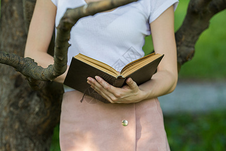 年轻女人手握一本书 靠在树枝上图片