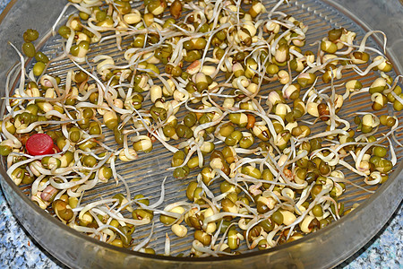 闭合时的豆芽大豆宏观饮食美食胚芽种子绿色食物沙拉蔬菜图片