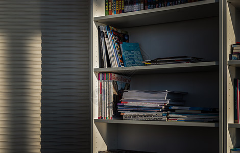 家庭共有公寓客厅共用设施图书馆 在白色书架上安排了不同书籍的藏书馆智慧房间教科书教育装饰知识文学区域家具学习图片