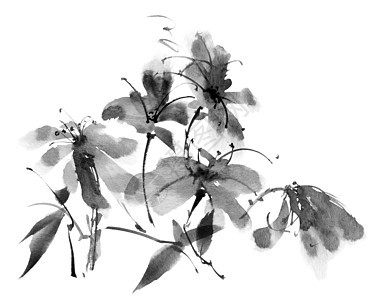 花墨油画白色绘画插图手绘水彩墨水叶子艺术品树叶黑色图片