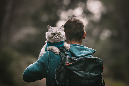 与猫远足 猫坐在肩膀上 遛猫 人和宠物 人类和动物 人类和宠物的爱图片