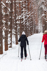 两个穿黑红夹克的女孩 冬天在森林里滑雪乐趣自然女孩们木头季节小路闲暇活动帽子女性图片