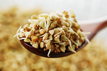 在一把木棕色匙子的绿色发芽的荞麦 生荞麦 荞麦芽对素食的有用食物木头营养种子美食农业饮食勺子宏观厨房植物图片