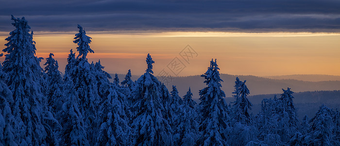 冬天的雪覆盖树木 在日落时在乌拉尔山脚下公园高地木头日出童话降雪天气太阳季节假期图片