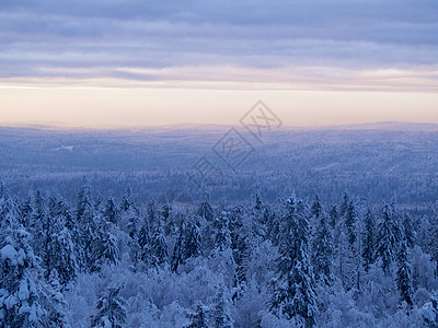 冬天的雪覆盖树木 在日落时在乌拉尔山脚下旅行森林农村公园场景降雪天空橙子天气木头图片