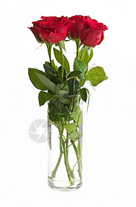 白背景上孤立的清玻璃烟雾中的红玫瑰布束香味浪漫周年礼物花瓶摄影玫瑰花花束假期庆典图片