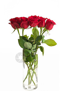 白背景上孤立的清玻璃烟雾中的红玫瑰布束香味花瓣假期优雅花束摄影纪念日礼物庆典植物图片