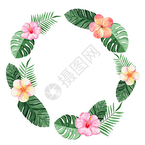 棕榈叶和鲜花边框 用于装饰卡片和徽标设计; 在白色背景上隔绝的热带框架图片