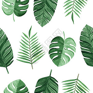 水彩绿色热带棕榈和蒙斯特拉在白色背景上留下无缝图案 用于织物 纺织品 品牌 邀请 剪贴簿 包装图片