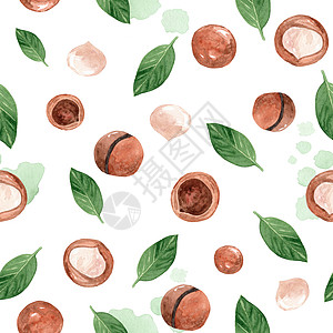 水彩手绘澳洲坚果和绿叶在白色背景上的无缝图案 可用于织物 纺织品 包装纸 剪贴簿图片