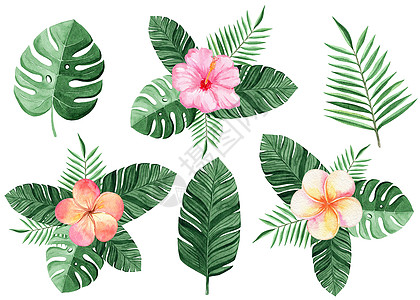 手绘粉色花和叶白色背景上的花朵和棕榈叶成分 按白底面排列背景