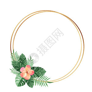 金圆环形 有水彩色热带植物 在白色背景上被孤立 以获得婚礼邀请 背景 贺卡 标志图片
