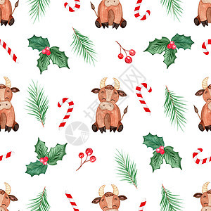 水彩圣诞图案与白色背景上的公牛和冬青树枝 用于织物 纺织品 包装 剪贴簿 背景 墙纸图片