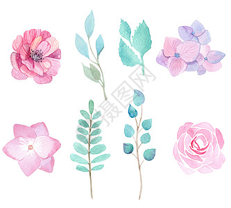 手绘春天白底隔离的粉红花朵和绿树叶 以白色背景隔开背景
