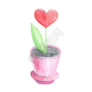 粉红色花盆中的水彩屋植物 红色心花在情人节的白色背景中突显 爱情卡片 可爱的装饰 纺织品印花图片