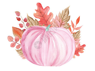 水彩粉彩粉色南瓜与秋天的落叶装饰隔离在白色背景上 用于贺卡 感恩节 托儿所装饰图片