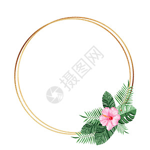 金圆框 有水彩热带花朵和白背景孤立的叶子 用于婚礼请柬和卡片设计图片