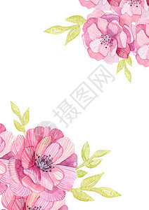 白色背景上隔绝的粉红色花朵和纸牌模板 水彩色粉红鲜花和叶片图片