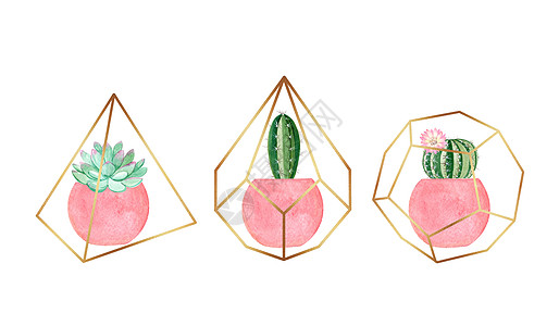 粉红锅中切成白色的花盆植物 与白隔绝 手工绘制的插图显示仙人掌和助产物图片