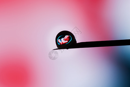 人类胚胎在粉红色背景的针尖上滴落一滴 说明性社论工程药品基因生活科学液体婴儿克隆实验室孩子图片