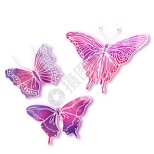 涂有水彩画的蝴蝶风格插图装饰植物学飞行植物绘画花束叶子艺术图片