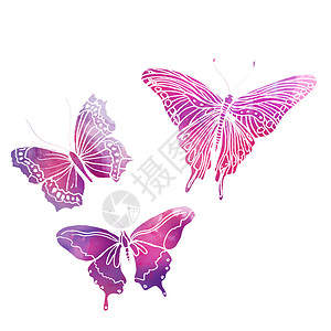 涂有水彩画的蝴蝶插图水彩传单绘画叶子卡片花束墙纸装饰品艺术图片