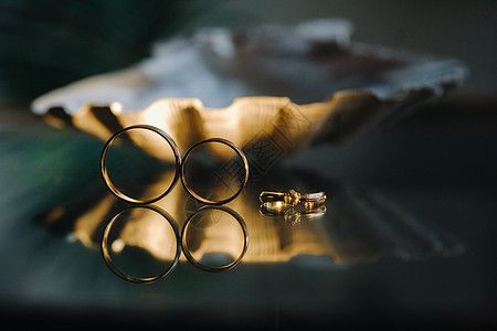 一对金婚戒指 两只结婚戒指礼物夫妻仪式纪念日新娘热情配饰圆圈庆典宝石图片
