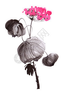 水色花花手绘花瓣植物花园墨水树叶植物学粉色绘画水彩图片