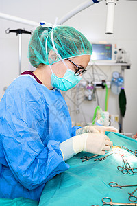 手术操作 手术后外科医生手缝合伤口的特写 手术治疗概念 外科医生手用手术工具进行手术药品专注病人镊子诊所疾病保健卫生情况房间图片