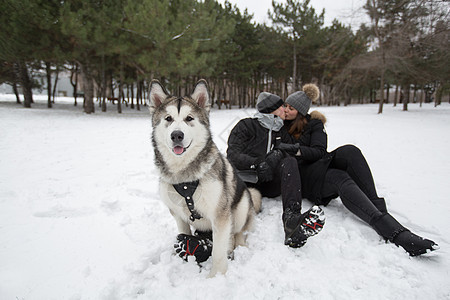 美丽的家庭 一个男人和一个女孩与狗一起在冬季森林玩狗西伯利亚哈斯基女士帽子笑声假期女性夹克宠物公园女孩动物图片