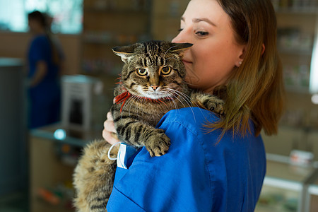 一位在诊所抱小猫的美丽兽医的肖像图片