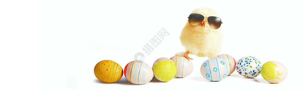 带着太阳镜和鸡蛋的可爱可爱小妞动物生活乐趣蛋壳农场翅膀假期新生宠物母鸡图片