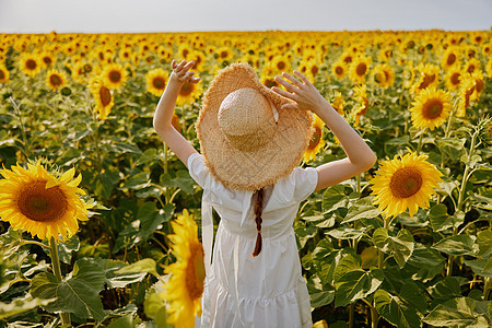 以举起的手握着向日葵场的女性顶帽自然夏季图片