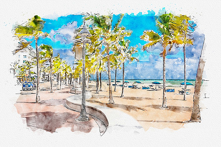 在劳德代尔堡用棕榈树绘制海滨海滩预告水彩画图热带艺术树木水彩画插图棕榈长廊支撑艺术品海滨图片