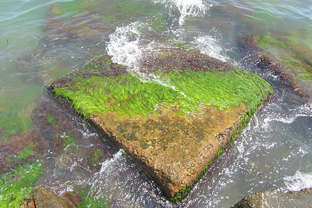 波浪拍打着被绿藻覆盖的码头上的一块方形岩石 翡翠色的海水拍打着岸边的混凝土板 新鲜海浪度假天空支撑旅行水泥假期名胜区渔夫海洋面具图片