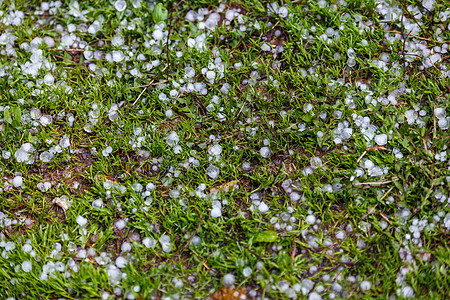 夏季暴风雨过后 绿色草地上的白冰雹风暴飓风灾难危险水晶沉淀地面天气气候粮食图片