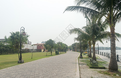 公园湖边的可可椰子树  日落夏季的自然景观背景 生态旅游公园 加尔各答 印度 南亚建筑外观城市绿色公共公园椰子天堂花园环境目的地图片