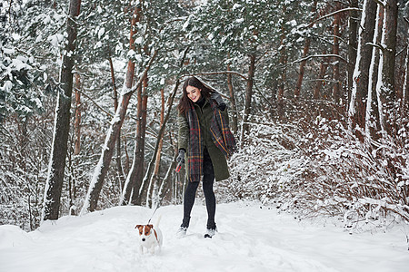 穿着暖身衣的女人在雪林里走着狗 前视线活动女孩动物友谊幸福木头犬类公园成人女士图片