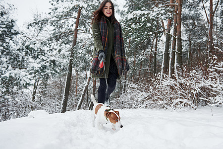 不错的周末 穿暖身衣的女人在雪林里走狗图片